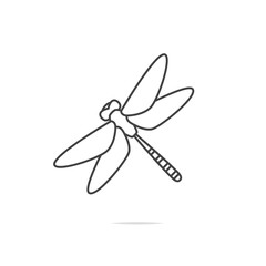 Dragonfly line icon vector