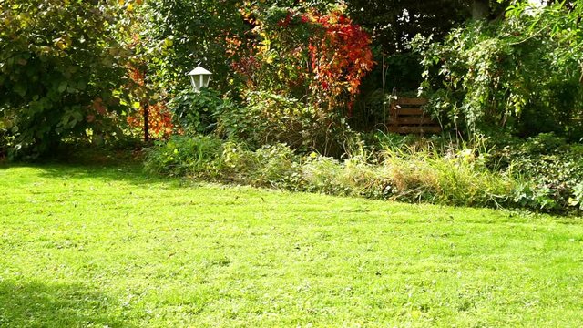 Oktobersonne hinter dem Haus