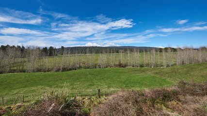 Idyllic countryside in New Zealand