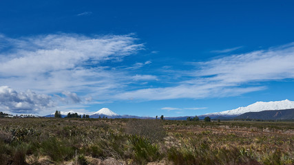 Idyllic countryside in New Zealand