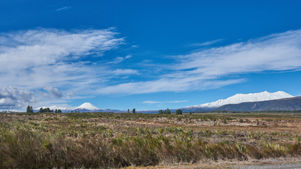 Idyllic countryside in New Zealand