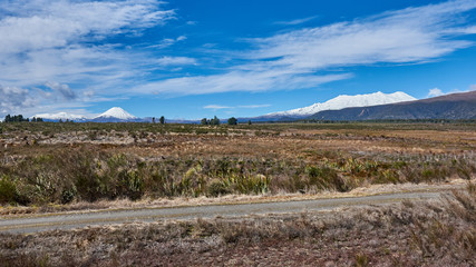 Idyllic countryside in New Zealand