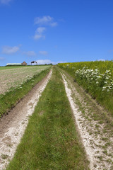 Fototapeta na wymiar limestone track and old farm
