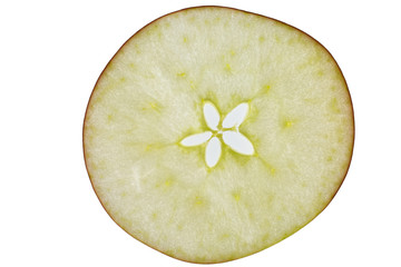 backlit slice of an apple