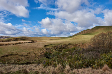 Idyllic countryside in New Zealand