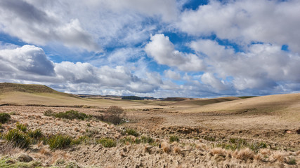 Idyllic countryside in New Zealand