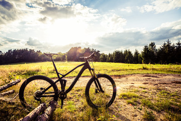Fototapeta na wymiar Mountain bike MTB on green summer forest trail, inspirational landscape