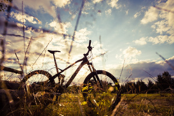 Mountain bike MTB on green summer forest trail, inspirational landscape