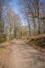Waldweg