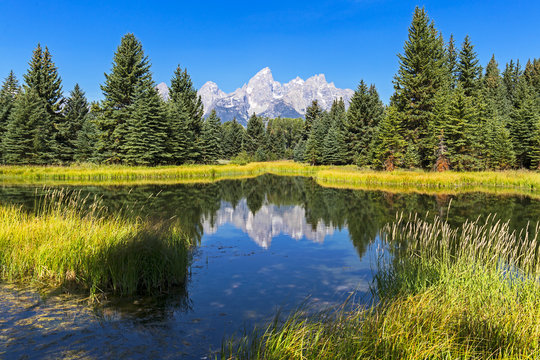 Schwabacher landing with its reflection. Grand Teton national park, WY, USA