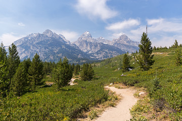 Trekking trail in Grand Teton National Park, WY, USA