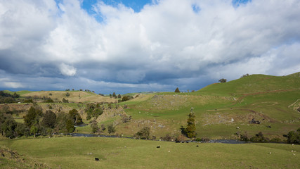 Naklejka na ściany i meble Idyllic countryside in New Zealand