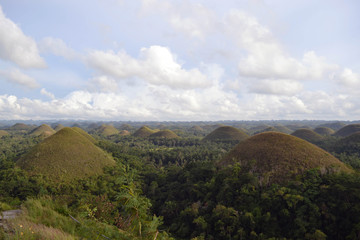 Fototapeta na wymiar Chocolate Hills. Located in Cebu, the Philippines. What a geological wonder!