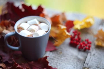 Photo sur Plexiglas Chocolat Autumn cocoa with marshmellows