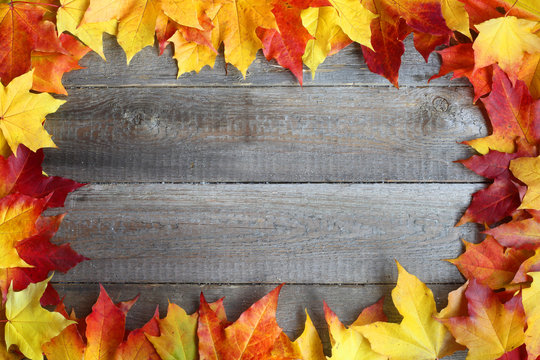 Autumn leaves frame on wooden background