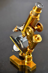 Vintage Brass Microscope

