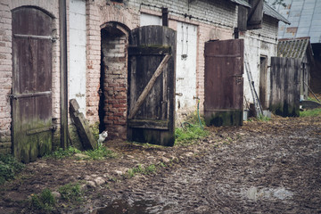 Muddy backyard of a farm, with a white cat sitting in one of the doors