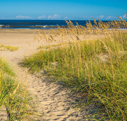 Sand dunes at the ocean cost