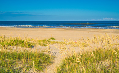 Sand dunes at the ocean cost