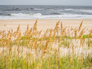 Sand dunes at the ocean cost