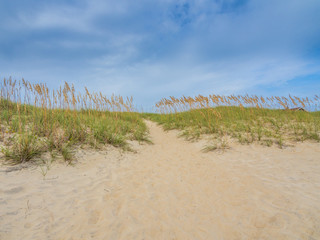 Sand dunes at the ocean cost