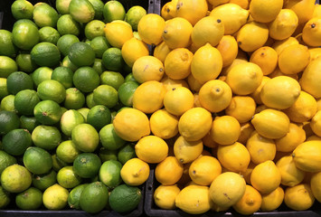Green and Yellow Lemons Background