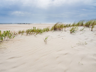 Sand dunes at the ocean cost