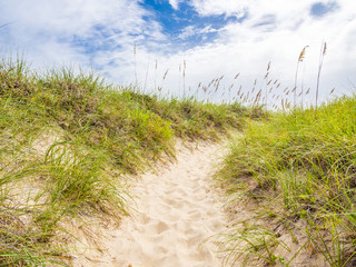 Sand dunes at the ocean cost