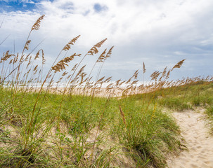 Sand dunes at the ocean cost