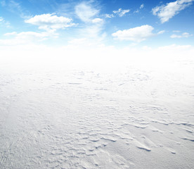 field of snow