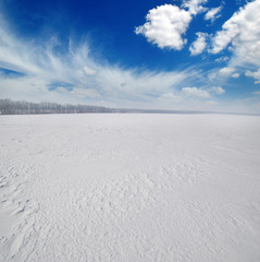 field of snow