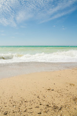 The sea shore summer Sunny day