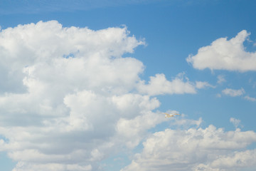 Naklejka na ściany i meble Bird Albatross is flying in the blue sky with white clouds