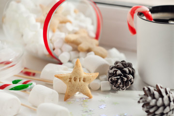 New year preparation concept. Christmass background with ginger bread, cup of coffee, red christmas candy cane, cones, marshmallow. New Year composition candies on the white background.
