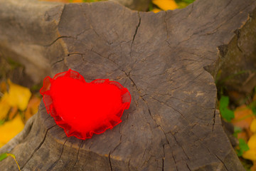 heart on wood background