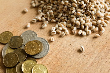 Profit from cereal grains of wheat cultivation