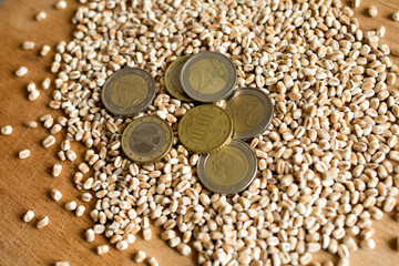 Wheat seeds and euro coins. Profit from grain cultivation