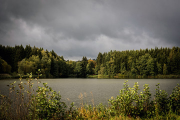 a large pond and dense coniferous forest in the background before the storm