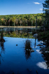 Fountain Lake Close Up