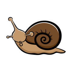 Cute snail isolated on white background  hand-drawn style