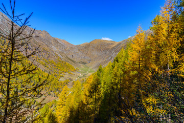 Altfasstal im Herbst