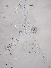 Ocean Plastic- environment 