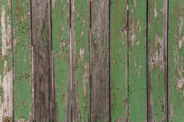 Old green painted wood wall - texture or background.