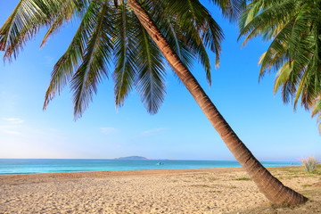 palm beach paradise coastline