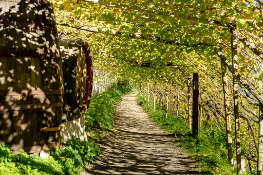 Waalweg im Weinberg