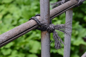 Fototapeta premium Fence in a Japanese garden