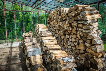 Firewood stacked in huge piles in hothouse