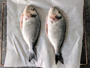 fish food dinner