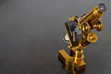 Vintage Brass Microscope

