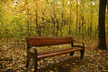 autumn